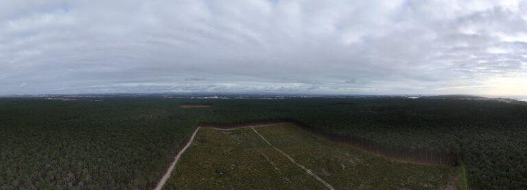 pinhal